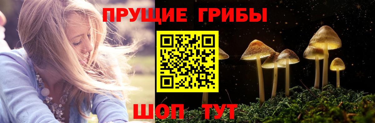 Галлюциногенные грибы мухоморы Камышлов