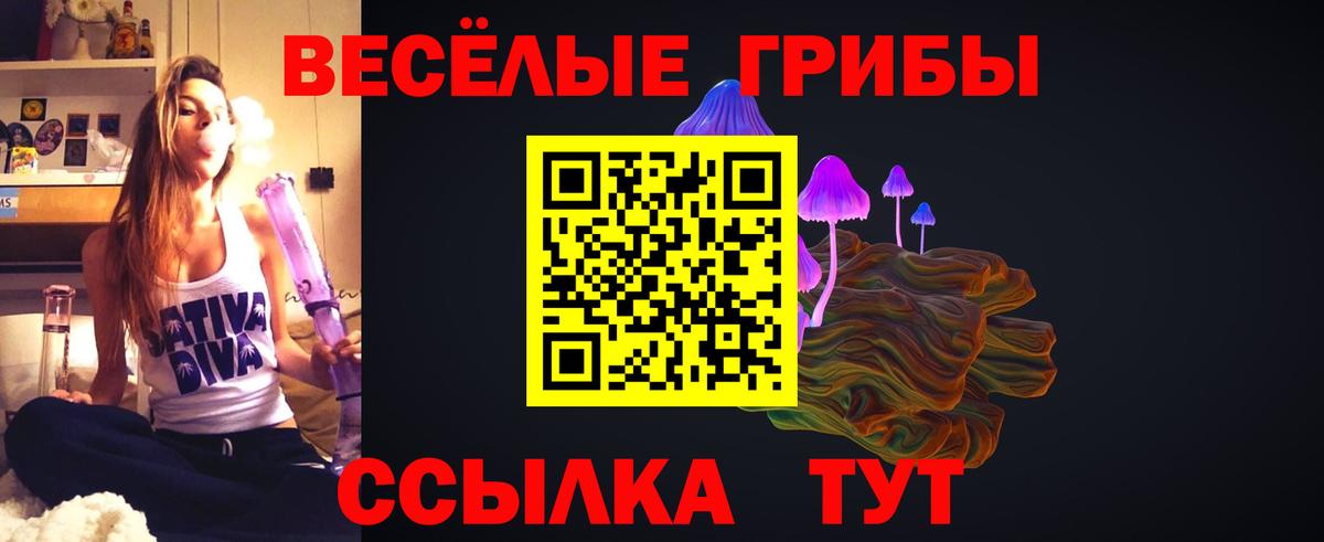 Камышлов  Псилоцибиновые грибы Cubensis  Вход с VPN  дарнет шоп  Галлюциногенные грибы мицелий 